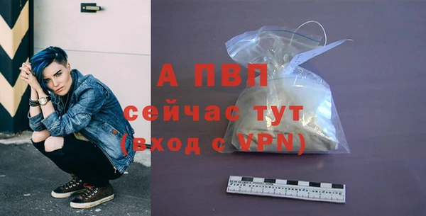 PSILOCYBIN Бежецк