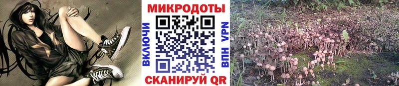 ссылка на мегу зеркало Борисоглебск Галлюциногенные грибы Cubensis